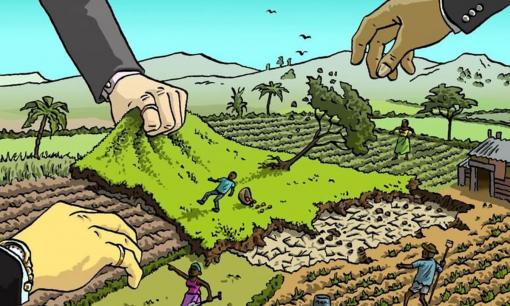 Năm 2025: Mức phạt hành vi lấn chiếm đất chưa sử dụng tăng kỷ lục, lên đến tiền tỷ, ai cũng cần cẩn trọng!