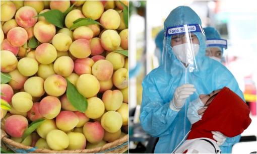 Loại quả 'rẻ bèo' tốt ngang với thuốc bổ thượng hạng: Giúp thanh lọc phổi, tăng cường miễn dịch, thời điểm có Covid-19 càng nên ăn