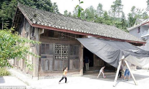 Ngôi nhà xập xệ dựng bằng loại gỗ đắt nhất thế giới, người mua cọc 22 căn nhà đổi lấy 8 khúc gỗ cũng không đến lượt