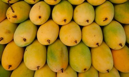 3 loại quả đặc sản này của Việt Nam lọt Top 10 Loại quả ngon nhất Đông Nam Á