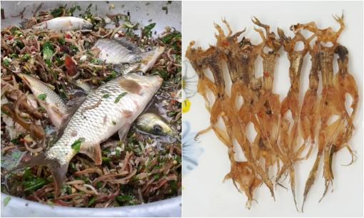 Việt Nam có 5 đặc sản khiến người 'yếu vía' nghe thôi đã sợ: Món nghe tên gây hiểu lầm, món lại thách thức lòng can đảm của du khách