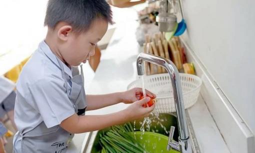 Đại học Harvard chỉ ra: Lúc bé những đứa trẻ không được cha mẹ cho làm việc này, tương lai mức lương sẽ thấp hơn 20%