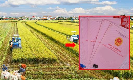 Người dân muốn chuyển mục đích sử dụng đất nông nghiệp phải đáp ứng điều kiện này