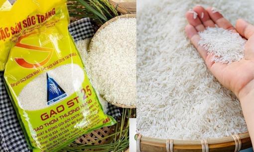 Cách nhận biết gạo ST25 thật - giả chỉ trong vài bước