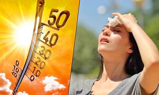 Cách giữ nước, chống sốc nhiệt khi trời nắng nóng gần 40 độ, mọi người nên biết để tránh đột quỵ