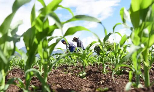 Có một câu nói cổ rằng “Ngày thứ bảy của tháng Năm là ngày đáng sợ nhất”. Hôm nay là ngày 7 tháng 5, có gì đáng sợ thế? 