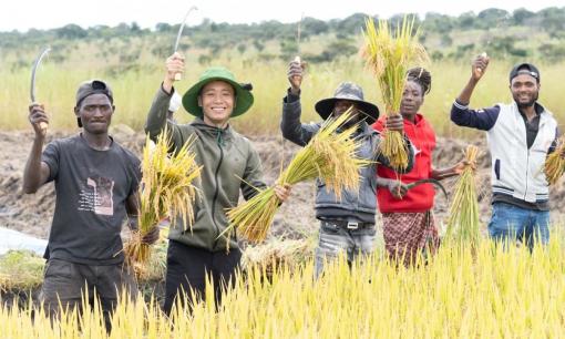 Quang Linh Vlogs dính 'phốt': Trang trại ở Angola chỉ là phim trường, trồng lúa để làm content, thực hư ra sao?