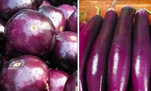 Nên mua cà tím dài hay cà tím tròn sẽ ngon hơn? Hóa ra chênh lệch lớn như vậy, đừng mua nhầm kẻo hỏng món
