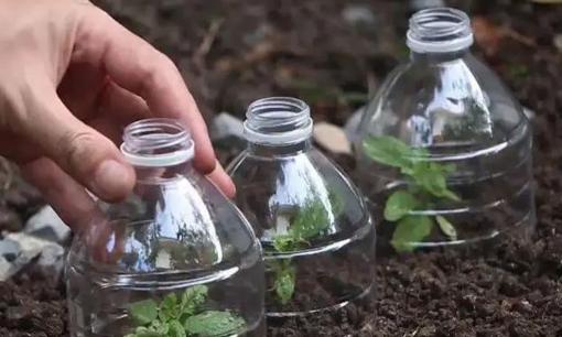 Đừng vội vứt chai dầu rỗng, chỉ cần cắt một nhát đơn giản giúp tiết kiệm cả trăm nghìn mỗi năm, nhà nào cũng dùng được