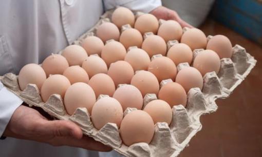 5 loại trứng tốt nhất không nên ăn, hại gan lại hỏng thận, tiếc là nhiều người không biết vẫn ăn hàng ngày