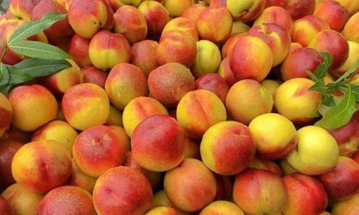 'Mùa vàng' của loại quả giàu chất chống oxy hóa, bán la liệt tại chợ Việt với giá hơn chục nghìn/kg