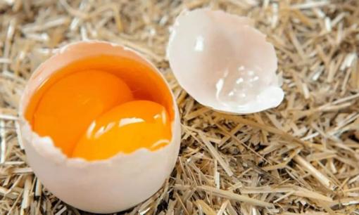 Trứng hai lòng đỏ có tốt hơn trứng một lòng đỏ không? Trứng hai lòng đỏ có được sản xuất bằng hormone không? 