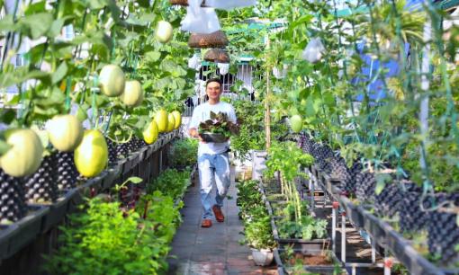 Ông bố ở Hà Nội biến sân thượng bỏ hoang thành khu vườn triệu đô: Trồng dưa lưới, nuôi cá, kiếm chục triệu/tháng