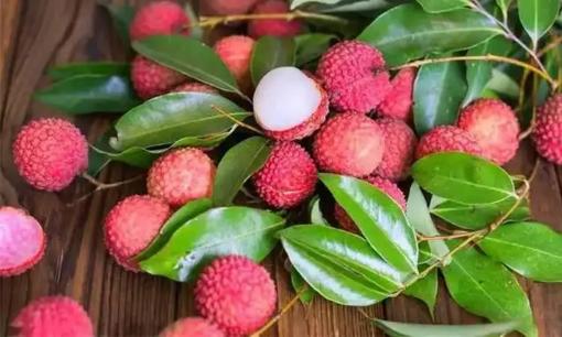 Ăn vải thiều có lợi ích gì? Các bác sĩ phát hiện ra rằng những người ăn vải thiều thường xuyên có thể trải qua 4 thay đổi này trong thời gian ngắn