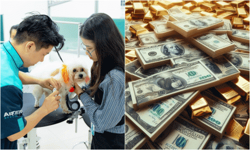 5 lĩnh vực kinh doanh được coi là 'mỏ vàng' trong tương lai, biết trước giàu sớm, thu nhập không giới hạn