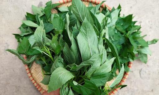 1 loại rau phổ biến ở Việt Nam nhiều sắt hơn cả thịt bò, được Trung Quốc ví như 'thuốc của người nghèo', rất tốt cho tim