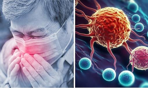 Người lâu ngày không bị cảm lạnh, ốm không chỉ có đề kháng yếu mà còn dễ mắc ung thư hơn? Bác sĩ nói cho bạn biết sự thật