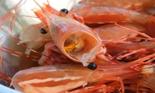 Vỏ tôm trở thành nguyên liệu vàng có thể 'cứu thế giới', Việt Nam đứng trước cơ hội lớn