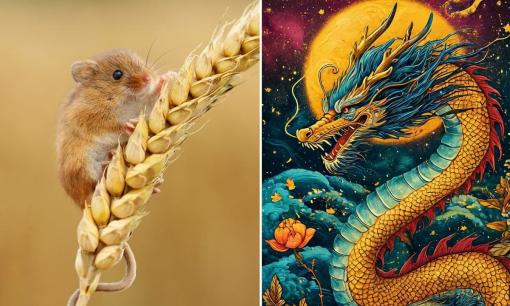 Tử vi ngày 22/6/2025 của 12 con giáp: Tuổi Thìn có quý nhân giúp đỡ, Tý gặp nhiều khó khăn