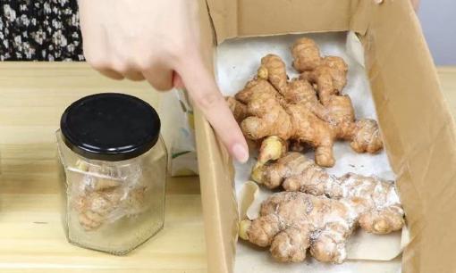 Mẹo bảo quản gừng cực đơn giản ai cũng có thể làm, gừng để nửa năm vẫn tươi như mới, không khô hỏng