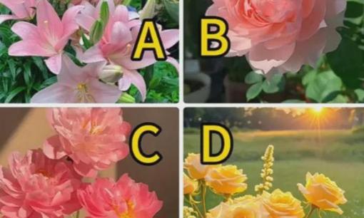 Trắc nghiệm tâm lý: Hãy chọn loài hoa bạn yêu thích và thử xem Chúa đã chuẩn bị món quà nào cho bạn?