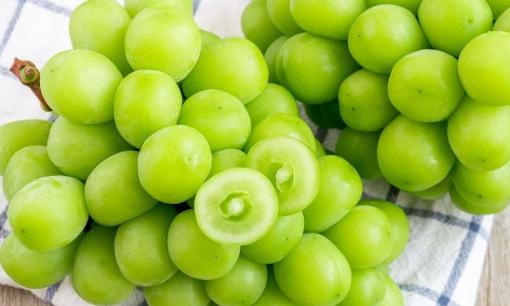 1 loại nho đặc biệt có chứa tinh chất quý hiếm từ nhân sâm, giá tiền lên đến 700 nghìn/kg