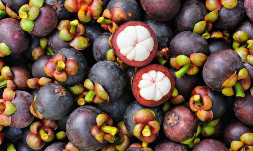 Không chỉ mỗi sầu riêng, loại trái cây này của Thái Lan cũng gặp hạn: Giá thấp nhất trong 10 năm, Việt Nam cũng đang xuất khẩu rất nhiều