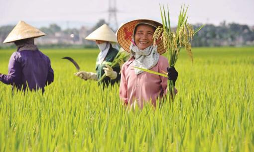 Tin vui: Người dân được miễn thuế sử dụng đất nông nghiệp đến năm 2030