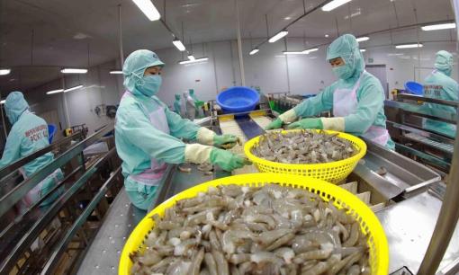 Việt Nam bỏ túi hơn 1,7 tỷ USD từ 'mỏ vàng' xuất khẩu: Mỹ, Trung Quốc đua nhau lùng mua