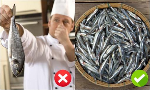 Khi đi chợ, người thông minh thường tránh 3 loại cá dễ gây ngộ độc, ưu tiên mua 4 loại cá thơm ngon, cực kỳ bổ dưỡng này