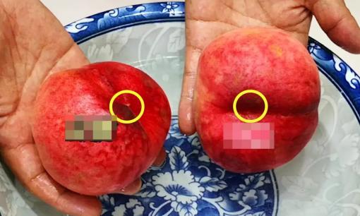 Khi mua đào ở siêu thị, nên chọn đào có 'đầu nhọn' hay 'đầu tròn'? Đừng nhầm lẫn, có sự khác biệt lớn đấy!