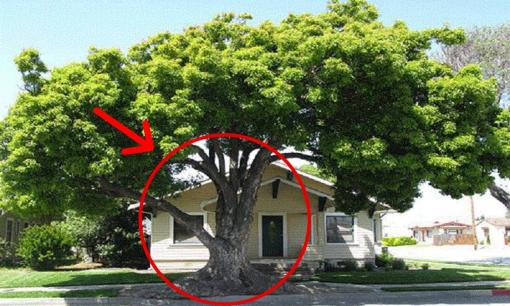 Trước nhà phạm phải 'tứ kỵ', gia chủ đau ốm liên miên, tài lộc sớm tiêu tán