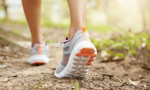 Nghiên cứu của Harvard phát hiện 'bài tập trường thọ': Đi bộ 21 phút đơn giản mỗi ngày có thể làm giảm nguy cơ tử vong sớm 