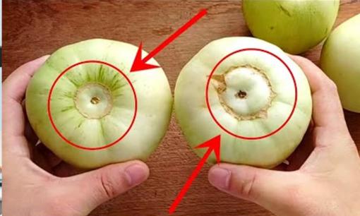 Mẹo chọn dưa lê có ngọt hay không, chỉ cần nhìn vào 5 điểm này bạn sẽ biết, chọn đúng 'đáng đồng tiền'