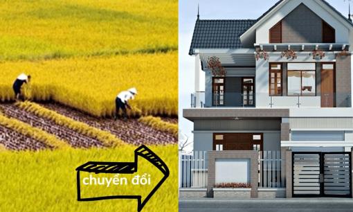 Đất trồng lúa nước có chuyển sang đất ở được không? Bộ Nông nghiệp và Môi trường giải đáp