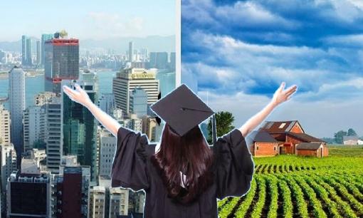 Sinh viên sau khi tốt nghiệp: Nên ở lại thành phố hay về quê?