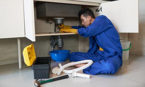 Nhẹ nhàng kiếm 20 triệu đồng mỗi tháng nhờ những nghề này mà không cần bằng Đại học