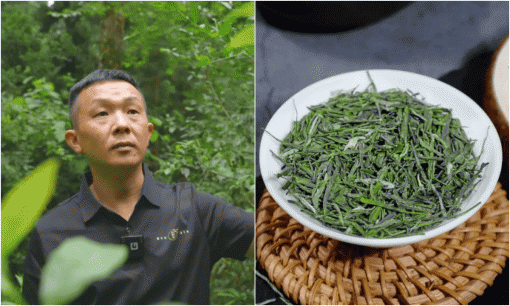 Từ 'chúa nợ' thành 'vua trà cổ thụ': Hành trình biến lá dại thành 'vàng' của người đàn ông, thu 27 triệu/kg