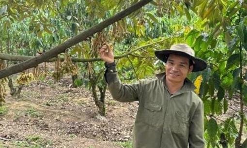 Loại cây 'tỷ đô' được anh nông dân Lâm Đồng trồng theo kiểu ngược đời: Ai ngờ làm nhàn tênh thu nhập 4 tỷ đồng/năm