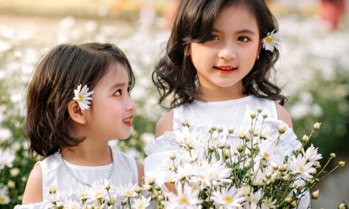 Đề xuất chi hơn 151 tỉ đồng hỗ trợ gia đình chỉ sinh 2 con gái