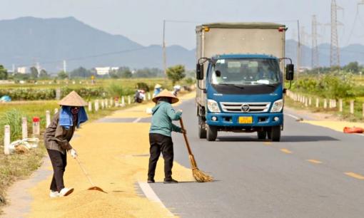 Người dân phơi thóc lúa, ngăn chặn xe lưu thông sẽ bị xử lý ra sao? Bị phạt bao nhiêu tiền?