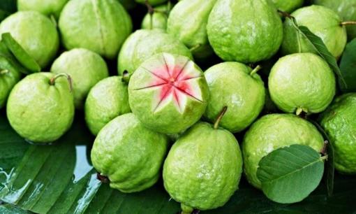 'Siêu thực phẩm' được Mỹ công nhận, chứa Vitamin C gấp 21 lần táo: Không phải cam hay quýt, từ lá đến rễ đều là bài thuốc cực tốt cho đường huyết