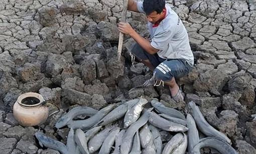 Nó là loài cá duy nhất trên thế giới có thể sống 5 năm mà không cần nước: Xuất hiện từ cách đây 390 triệu năm