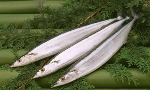 6 loại cá biển không thể nuôi nhân tạo, thịt nguyên chất tươi ngon, người sành ăn chỉ cần thấy là mua ngay 