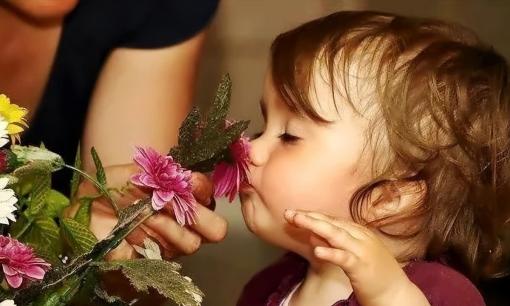 Nghiên cứu mới nhất từ Đại học California: Ngửi 7 mùi hương này mỗi ngày có thể cải thiện trí nhớ tới 226% và ngăn ngừa bệnh Alzheimer