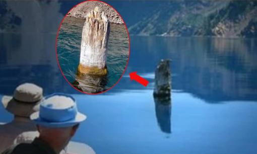 Khúc gỗ có tuổi thọ 450 năm nổi thẳng đứng suốt 120 năm trên mặt nước, được cho là có khả năng 'điều khiển thời tiết'