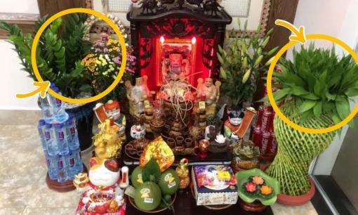 Rằm tháng 6 nhuận năm Ất Tỵ 2025: Nên dâng 3 loại cây, 4 loại hoa, 5 loại quả này lên bàn thờ, gia đình gặp nhiều tài lộc, may mắn