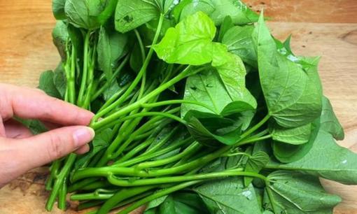 Loại “rau từng cho lợn ăn” thành siêu thực phẩm được Mỹ thu mua 1 triệu/kg vì khả năng “ức chế tế bào phổi bệnh lý”