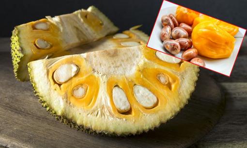 Bộ phận của quả mít được người Nhật mua 200.000/1kg vì rất bổ dưỡng, người Việt có nhiều nhưng thường hay vứt bỏ