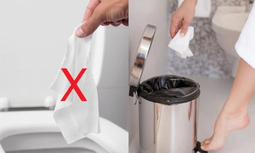 Giấy vệ sinh dùng xong nên vứt vào bồn cầu hay bỏ vào sọt rác? Cách làm của người nước ngoài rất đáng được khuyến khích